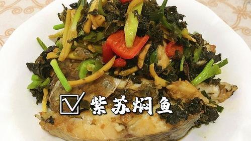 罗非鱼邻居爆料视频,揭秘水下生活点滴 第3张 罗非鱼邻居爆料视频,揭秘水下生活点滴 第3张